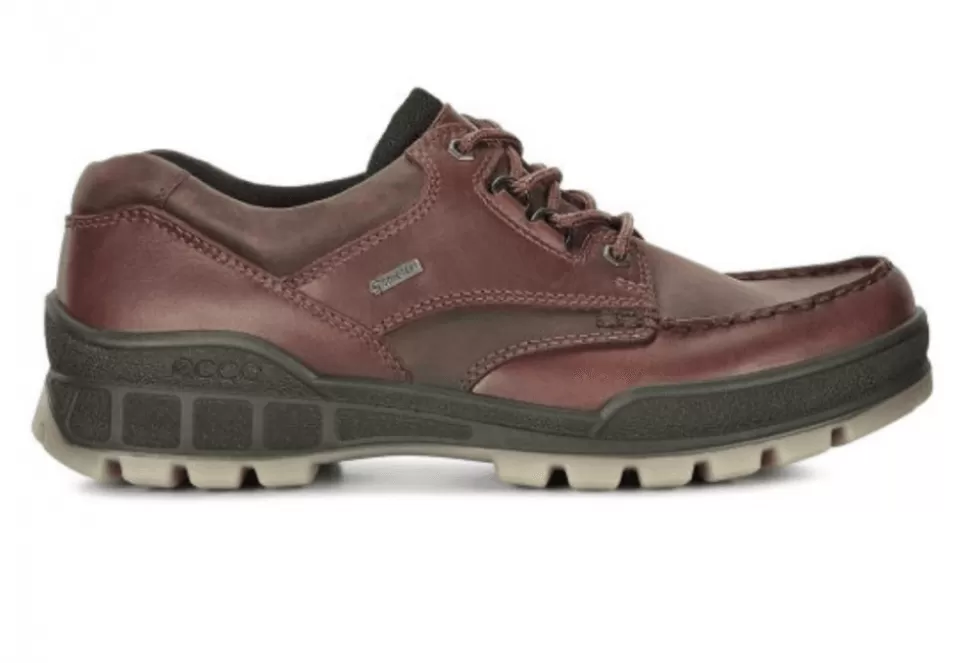 Men Ecco Comfort-Track 25 Walking Shoe